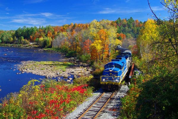<b>PASEO EN TREN: </b>aunque sea un viaje corto, un viaje en tren en esta época del año es ideal para deleitarse con el paisaje que el otoño nos regala, con árboles rojizos, amarillos y ocres.
