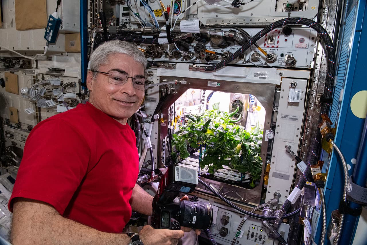 El astronauta de la NASA y el ingeniero de vuelo de la Expedición 65 Mark Vande Hei se prepara para fotografiar los chiles.