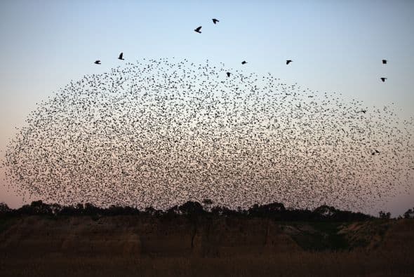 Una ciudad ubicada en el desierto de Negev, Israel.