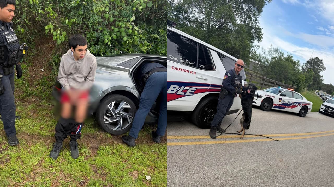 Perro policía detiene al sospechoso del robo de consolas Xbox en un Walmart que inició persecución en Houston
