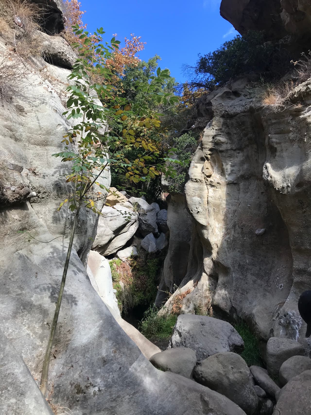 Es importante que los visitantes no dejen desechos, ni basura en el camino.