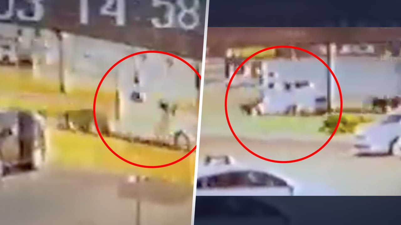 Policía busca camión en el que se vio a una mujer hispana ensangrentada que pedía ayuda