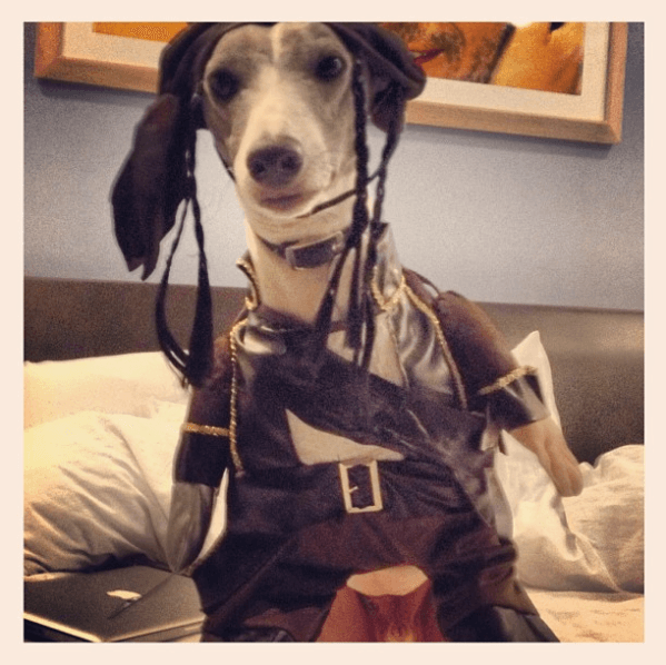 En aquella ocasión lo disfrazó de Jack Sparrow, el personaje principal de la película ‘Piratas del caribe’.