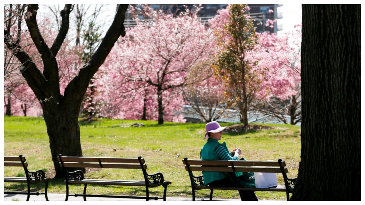 El parque fue concebido en 1867 por el arquitecto paisajista Frederick Law Olmsted, 
<b>quien diseñó el Central Park </b>de la ciudad de Nueva York. 
<br>