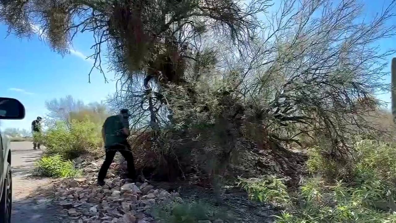 Caso Nancy Guthrie: FBI busca pistas en carreteras de Tucson por desaparición de madre de Savannah Guthrie