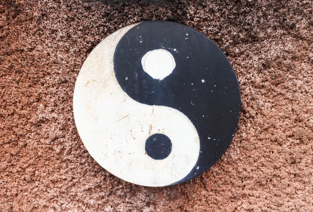 <b>El yin y el yang en Astrología</b>
<br>En general los signos de los elementos fuego y aire (Aires, Leo y Sagitario, así como Géminis, Libra y Acuario) se consideran yang y los signos de tierra y agua yin (Tauro, Virgo y Capricornio además de Cáncer, Escorpión y Piscis).