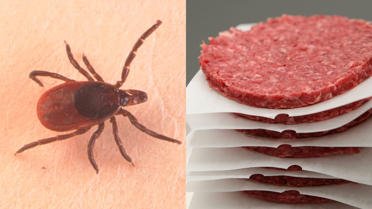 Picadura de una garrapata provoca alergia a la carne: se reporta la primera muerte en EEUU