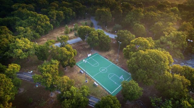 <h3 class="cms-H3-H3">MLK Park</h3>
<br>
<br>📍 3503 Martin Luther King Dr.
<br>
<br>El parque tiene canchas de baseball, tennis y basquetball; además un camino para bicicletas y para caminar. Cuenta con asadores, mesas para hacer picnics y pabellones que incluso pueden ser rentados para diferentes tipos de eventos.