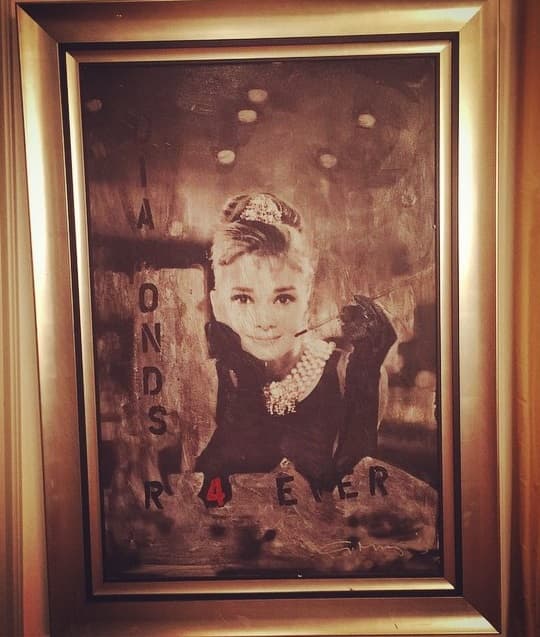Para cerrar con broche de oro te mostramos esta otra joyita, un cuadro con la foto de la actriz Audrey Hepburn, que seguramente a Paris le costó una fortuna.