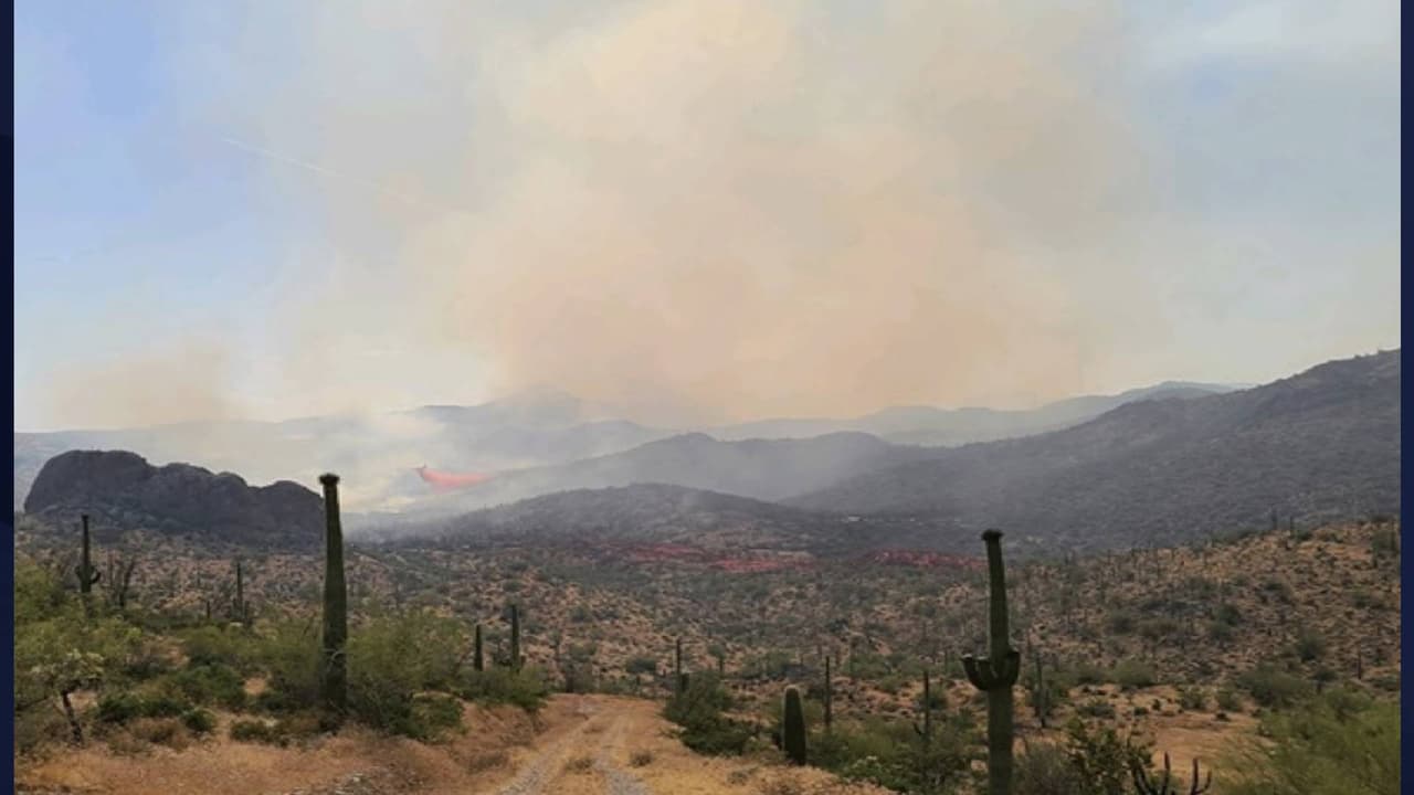 “El objetivo es evitar que el fuego se mueva hacia el oeste y el sur, así como mantener el fuego al este de las líneas principales de Superstition, al oeste de Forest Road 172 y fuera de Elephant Butte y Queen Valley” informaron 
<a href="https://inciweb.nwcg.gov/incident/article/6730/51817/" target="_blank">funcionarios del Bosque Nacional Tonto </a>mediante su sitio web. 
<br>