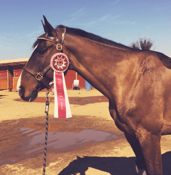 “#ProudMom Defendor llegó quinto lugar en su evento de 3 días. Estoy bien orgullosa, solamente es su tercer evento”- Iggy Azalea.