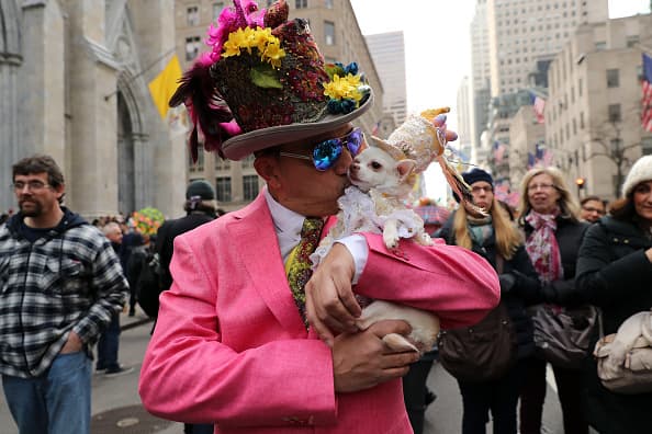 También varias mascotas desfilaron hoy por la Quinta Avenida, en Manhattan.