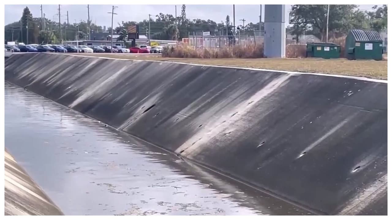 Tampa bajo alerta de sequía nivel 2: el condado de Hillsborough implementa medidas