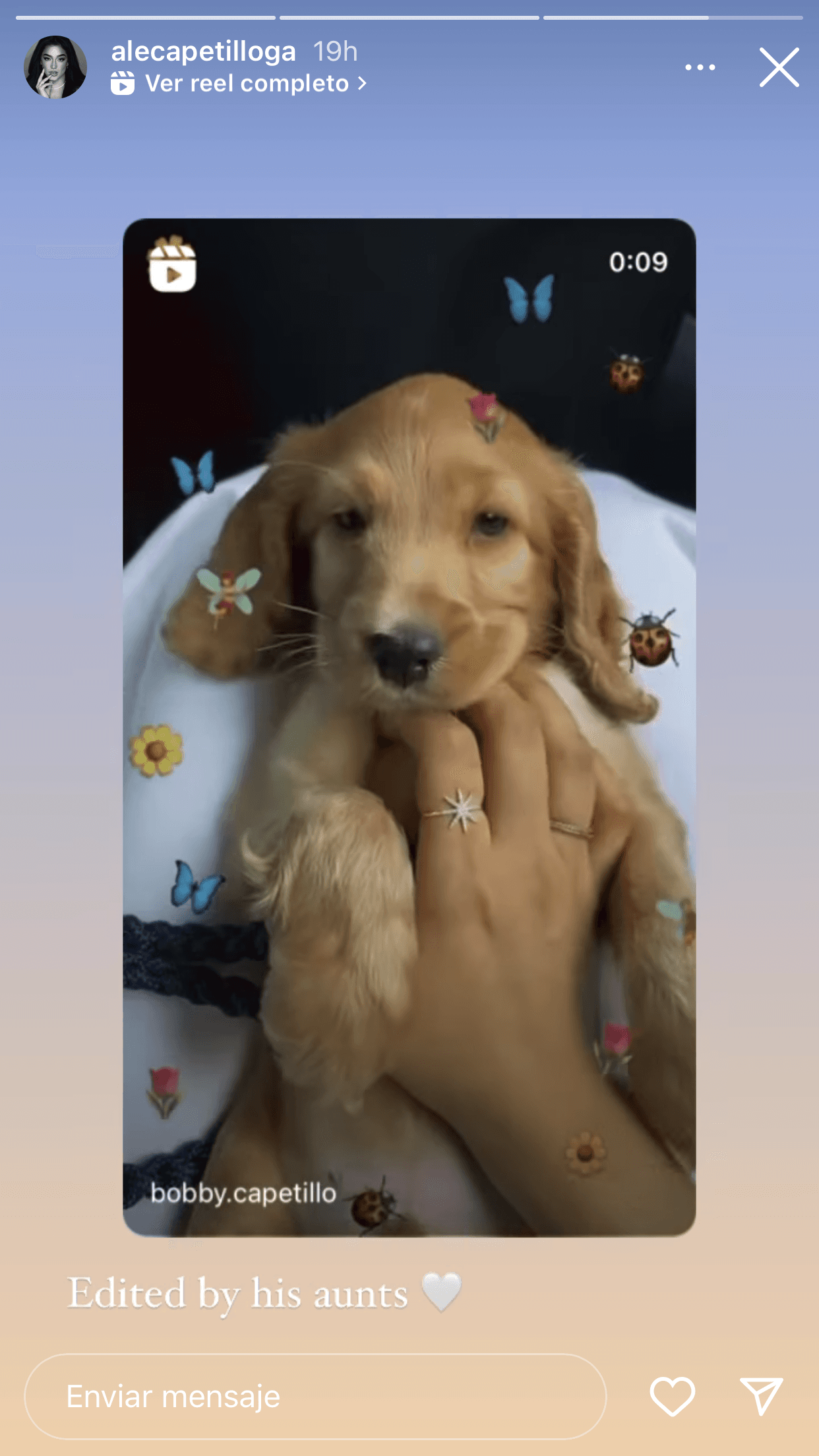 La también 'influencer' mostró imágenes de cómo han sido los primeros 365 días con su perrito.
<br>