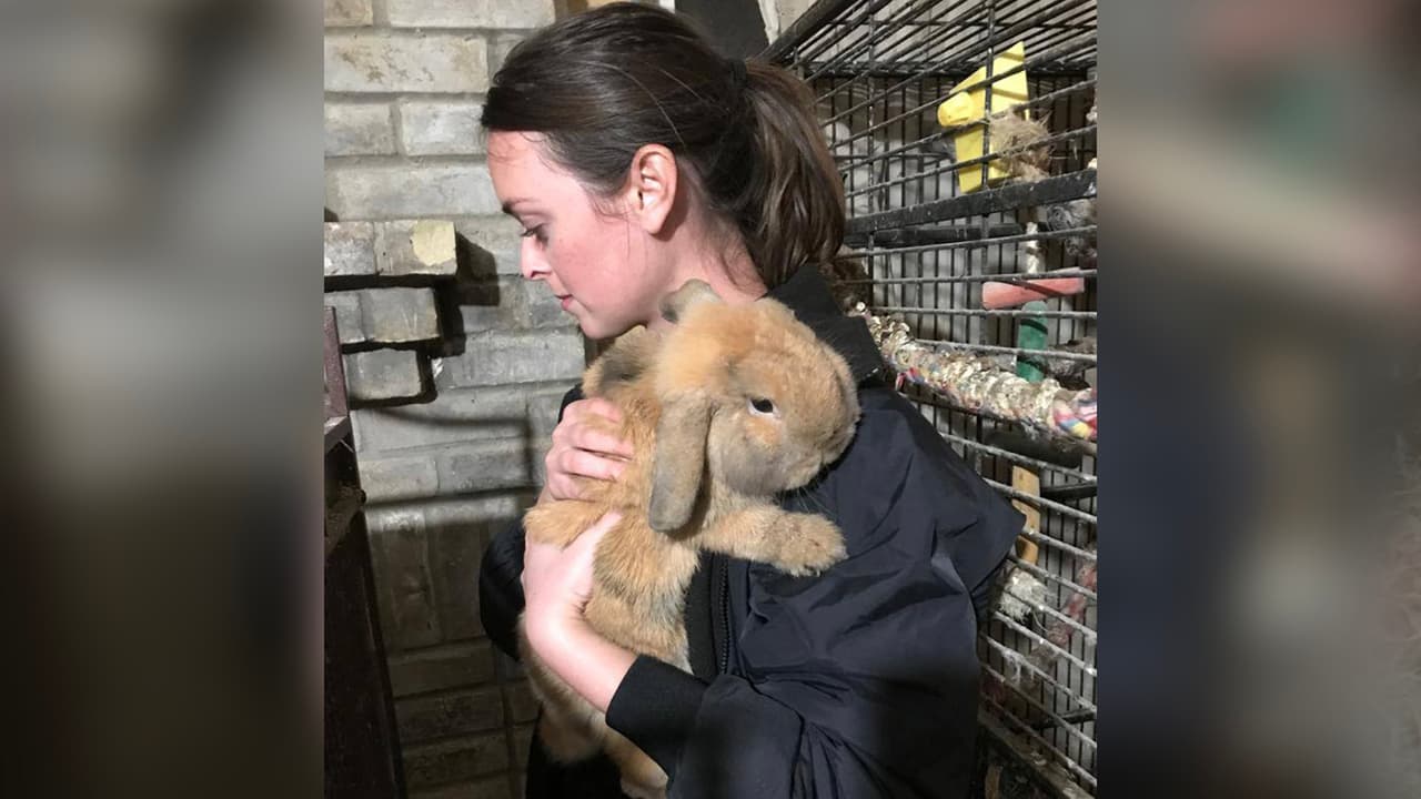 "Los niveles de amoníaco que encontramos dentro de la casa se consideran uno de los ambientes más tóxicos que hemos encontrado" dijo uno de los investigadores de Houston SPCA.