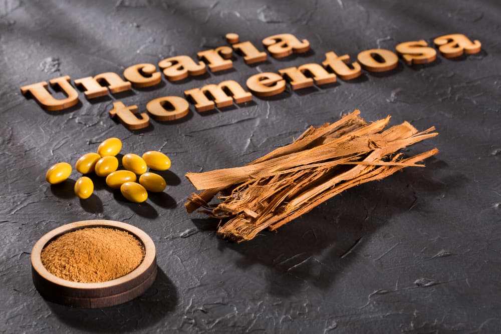 También, debemos reconocer los potenciales efectos adversos y tóxicos que puede presentarse al consumir esta planta de forma inapropiada. Por ejemplo, se ha demostrado que a dosis mayor a 300 mg, en una toma única, produce daños hepáticos severos, por lo que hay que tener mucho cuidado en su consumo.