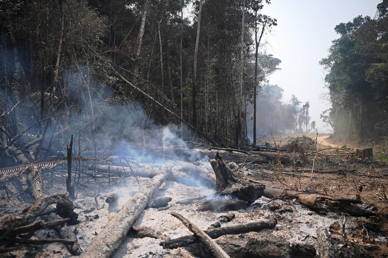 Las Fuerzas Armadas de Brasil iniciaron este sábado el operativo para combatir el creciente número de incendios en la Amazonía en medio de un pedido a nivel mundial al presidente Jair Bolsonaro para que actúe en defensa del 'pulmón del planeta'. En la foto, cenizas y humo en el Amazonas, centro-oeste de Brasil.