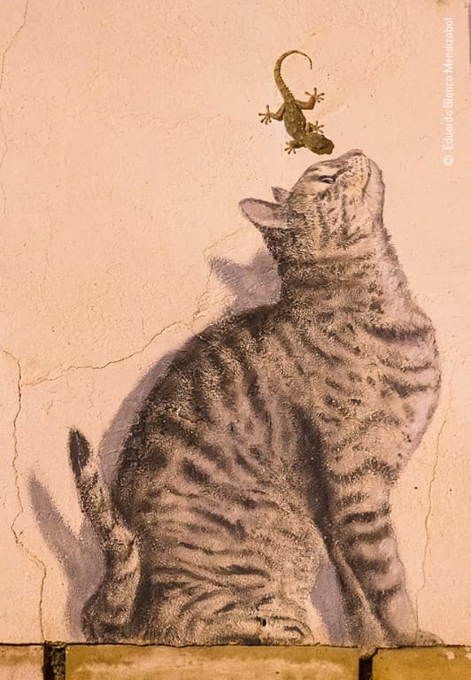 El fotógrafo español Eduardo Blanco Mendizabal se encontró con este grafiti de un gato en su ciudad natal de Corella. A sabiendas de los geckos que emergen de las paredes, esperó paciente con su cámara para captar la imagen de un falso cazador.
