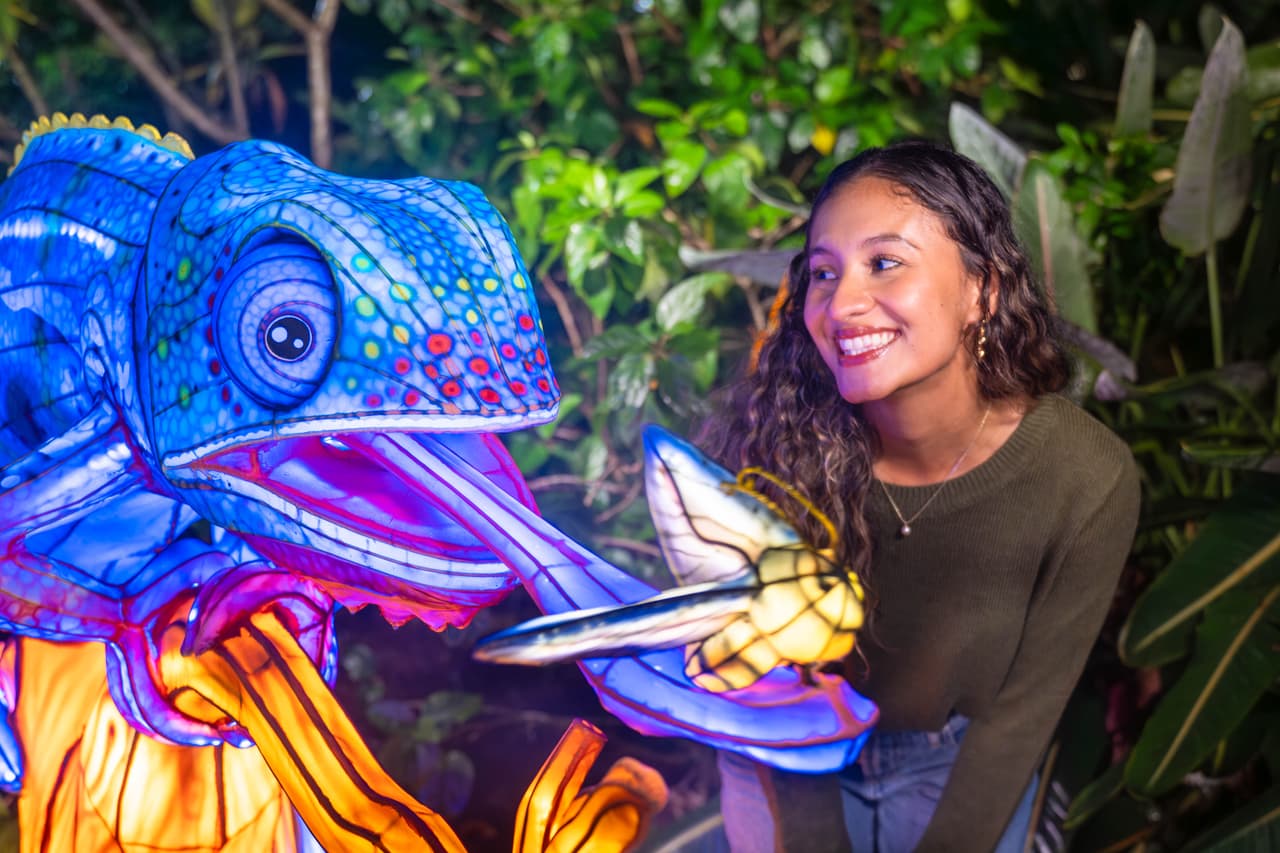 Aquatica se llena de luz: llega el festival nocturno que encantará a Orlando