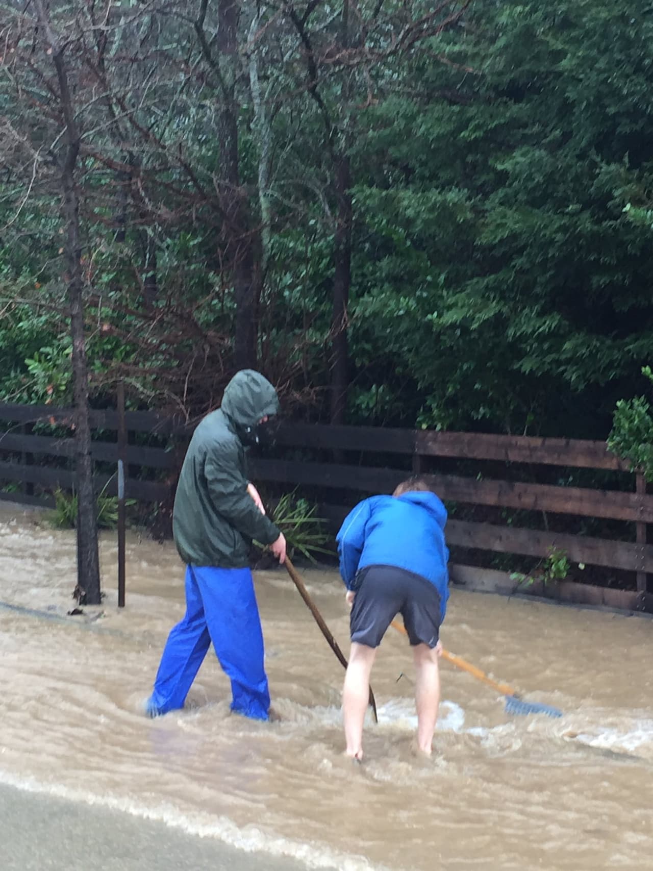 Los equipos de rescate de Búsqueda Urbana y Rescate Acuático ayudan a residentes de Ross Valley