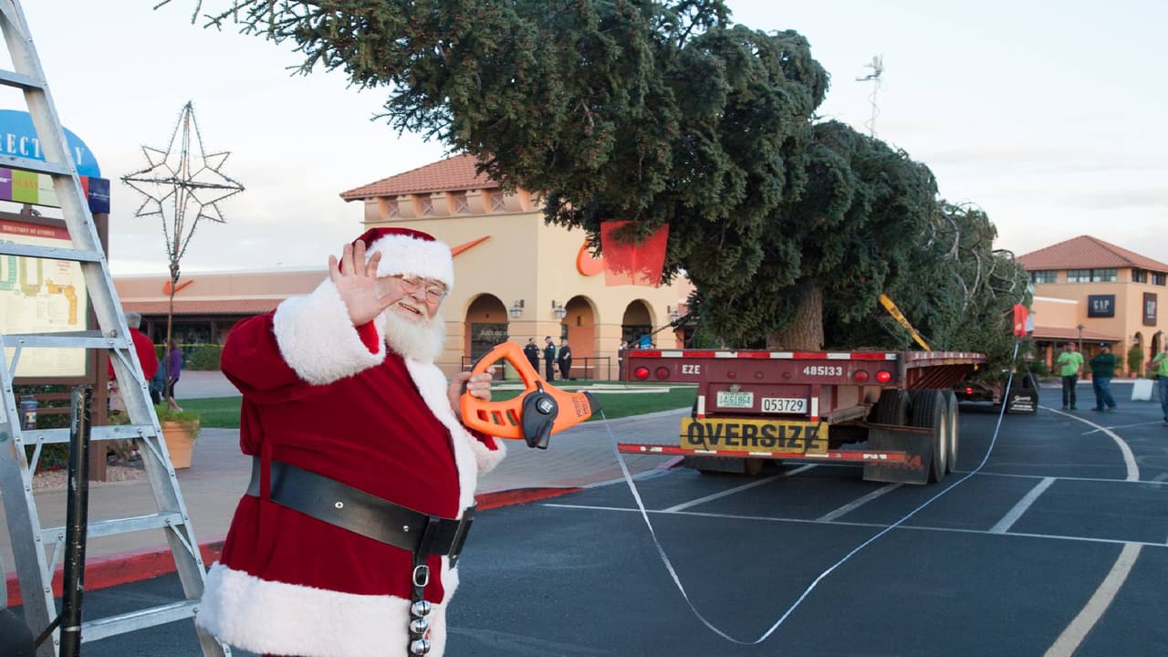 El árbol mide 70 pies de altura, 20 pies de ancho y pesará cerca de 4 toneladas cuando esté completamente decorado, según reportes.
<br>
