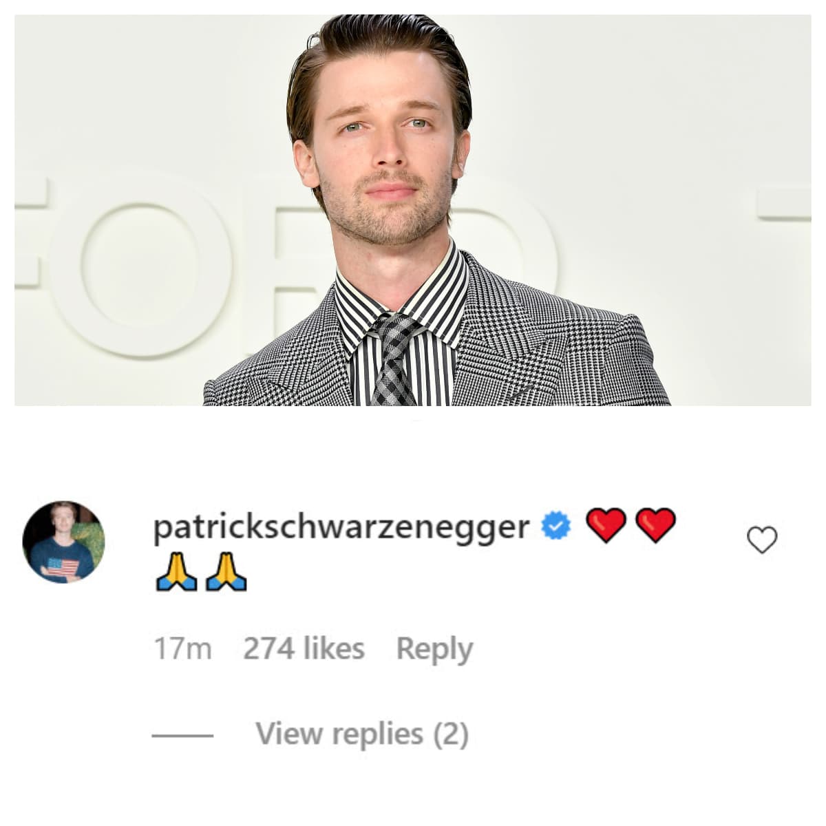 Entre las primeras felicitaciones que recibieron estuvo la del hermano de Katherine, Patrick Schwarzenegger. 
<br>