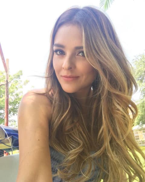 El flechazo se dio durante las grabaciones de la telenovela "Las Amazonas", último proyecto en el que ambos participaron.