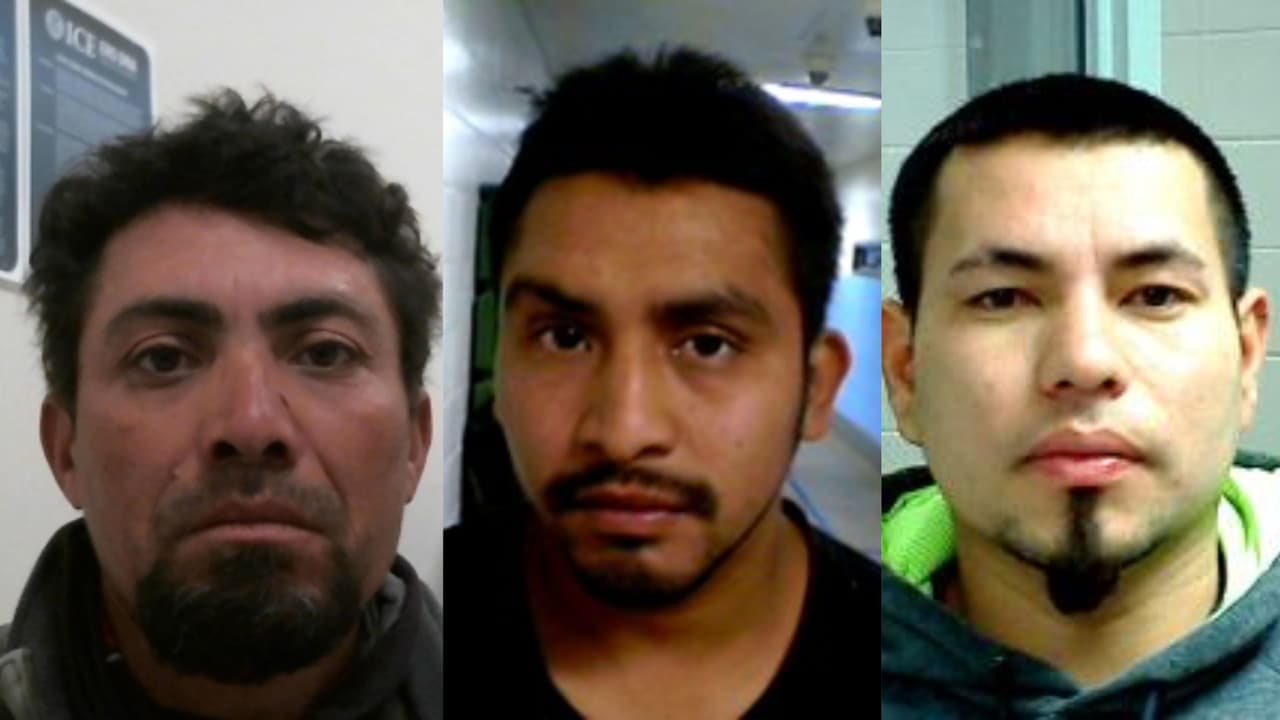 Operativo de ICE en el condado Liberty termina con 17 inmigrantes con historial criminal tras las rejas 