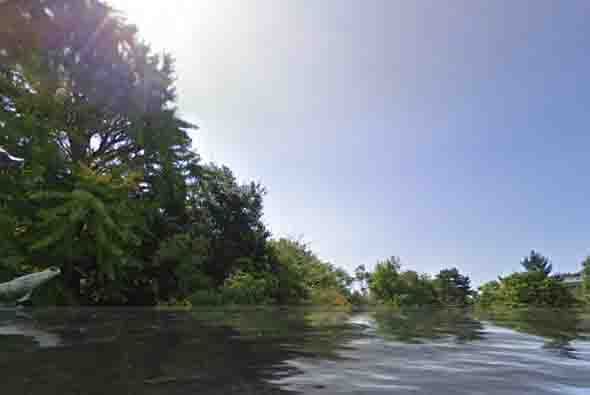 Kamakura es una ciudad que se encuentra rodeada por montañas en tres direcciones y por la bahía de Sagami. Foto tomada del sitio worldunderwater.org.