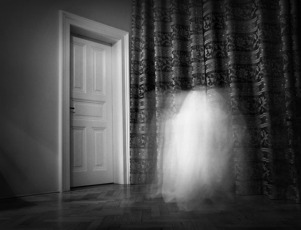 Curiosamente, el hotel no oculta nada y hasta ellos mismos promueven que el fantasma de Kate ronda por su propiedad, ya que hasta
<b><a href="https://hoteldel.com/press/ghostly-goings-hotel-del-coronado/">en su propio sitio cuentan la trágica historia</a></b> de la mujer e incluso venden el libro que se ha escrito sobre el caso.