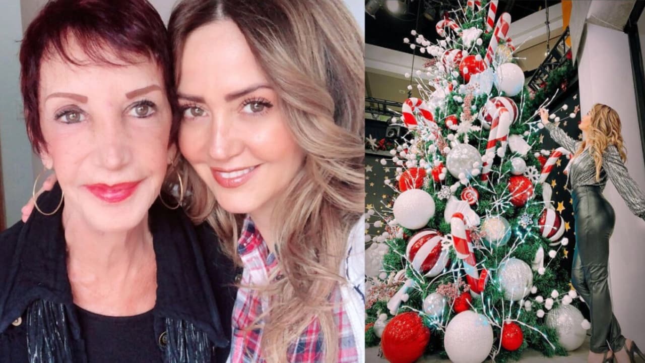 Andrea Legarreta presume su espectacular árbol de Navidad y lo decora así tras muerte de su mamá
