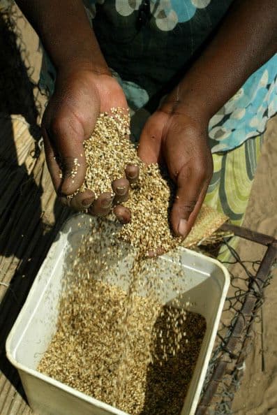 2. ZIMBABUE, con 202%.