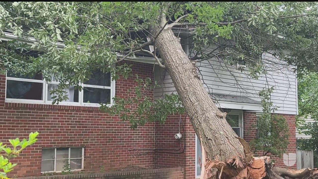 La protección de tu patrimonio depende de un documento: seguros para casa y auto ante desastres naturales