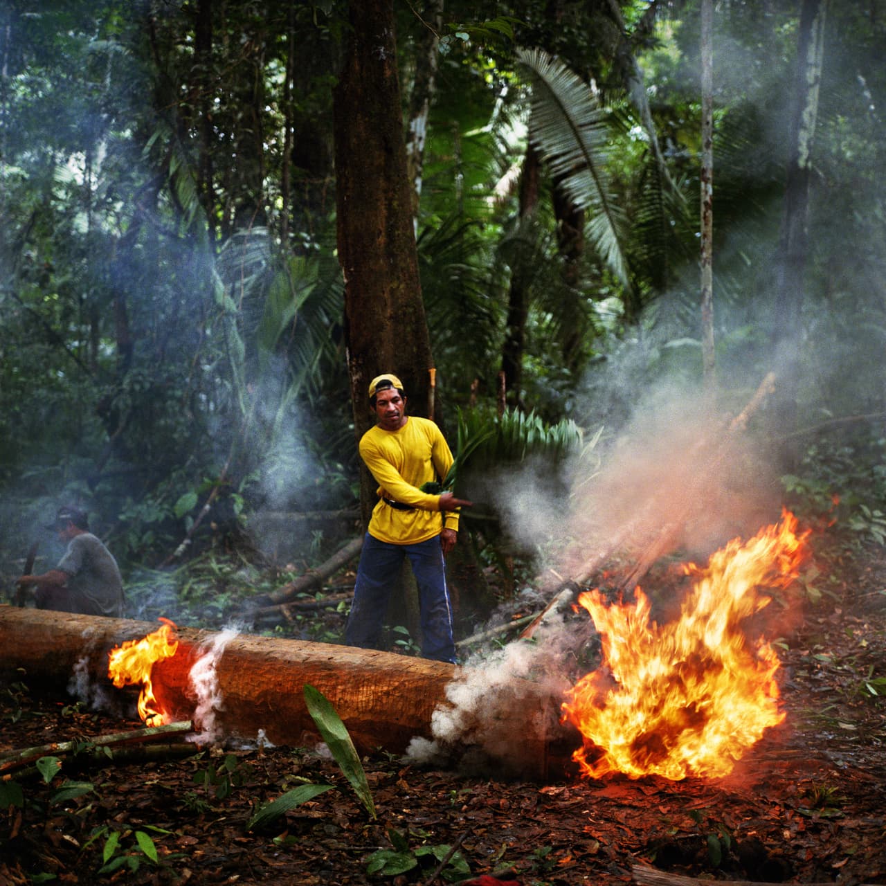 El extractivista Neto quema un árbol para construir una canoa en la reserva Riozinho do Anfrisio. Todas sus casas y botes se construyen con los recursos del bosque.
