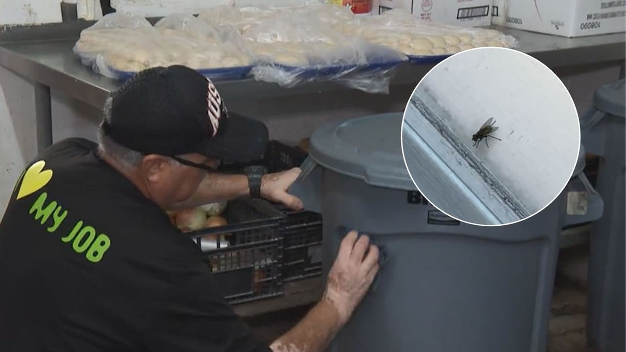 Restaurantes en Texas refuerzan medidas sanitarias ante alerta por gusano barrenador