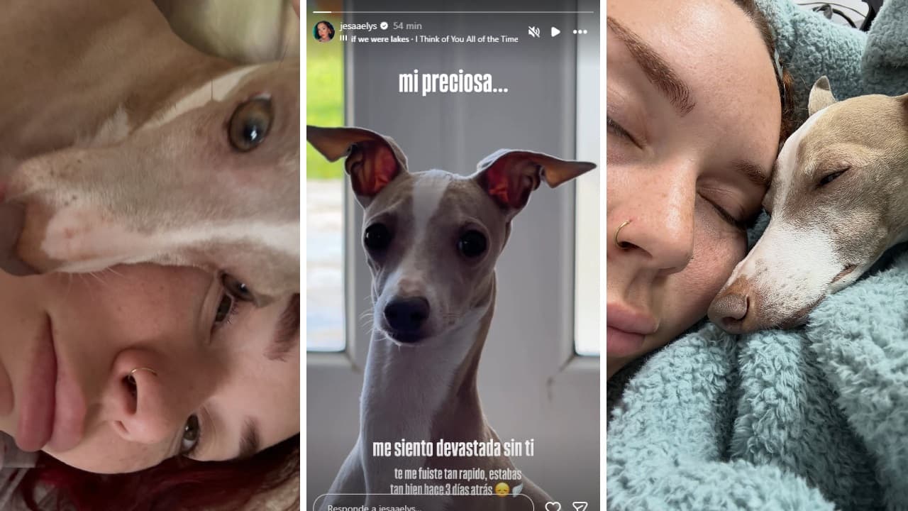 Jesaaelys y Arielpi eran inseparables.