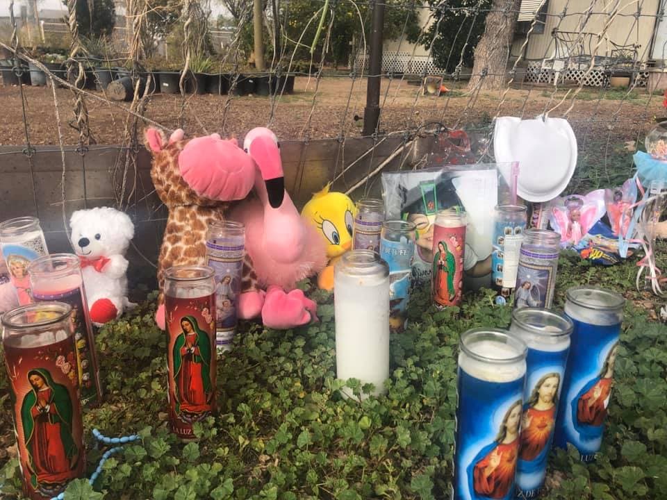 Los documentos de la corte muestran que la tía fue a buscar al padre de los niños al trabajo cuando Henry comenzó a asfixiar a cada menor de edad, comenzando con el que tenía solo un año.
<br>