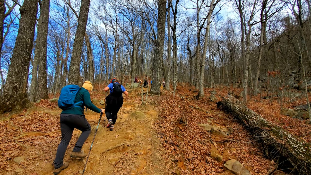 En promedio, te tomará al menos hora y media llegar a la cima de Mount Yonah.