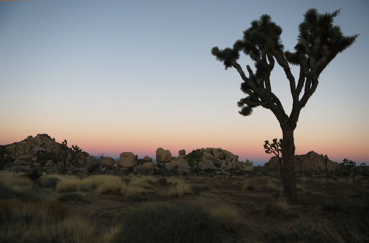 <b>Joshua Tree</b>: 2 horas y 15 minutos manejando. 
<br>Si quieres un clima de desierto y te gusta escalar y realizar caminatas Joshua Tree es un gran destino. Además, si te quedas para la noche podrás admirar uno de los cielos más estrellados que jamás hayas visto.