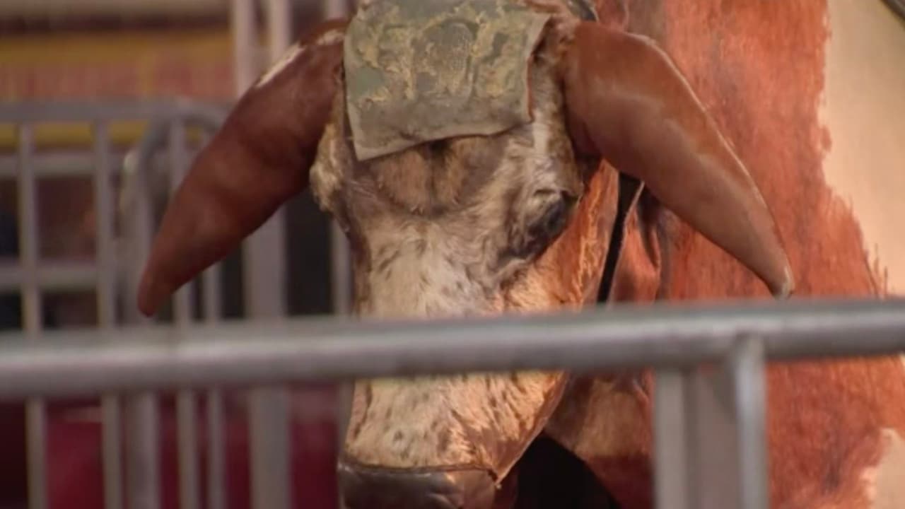 En el Memorial Park será el punto de reunión para participar en el desfile inaugural del Rodeo Houston. Hay un servicio de transporte disponible en 701 Westridge Road, The Woodlands. El coste del servicio es de 13 dólares (ida y vuelta).
<br>