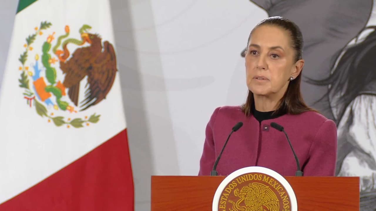 "Habla de una buena coordinación": Sheinbaum sobre reapertura ganadera con EEUU ante el gusano barrenador