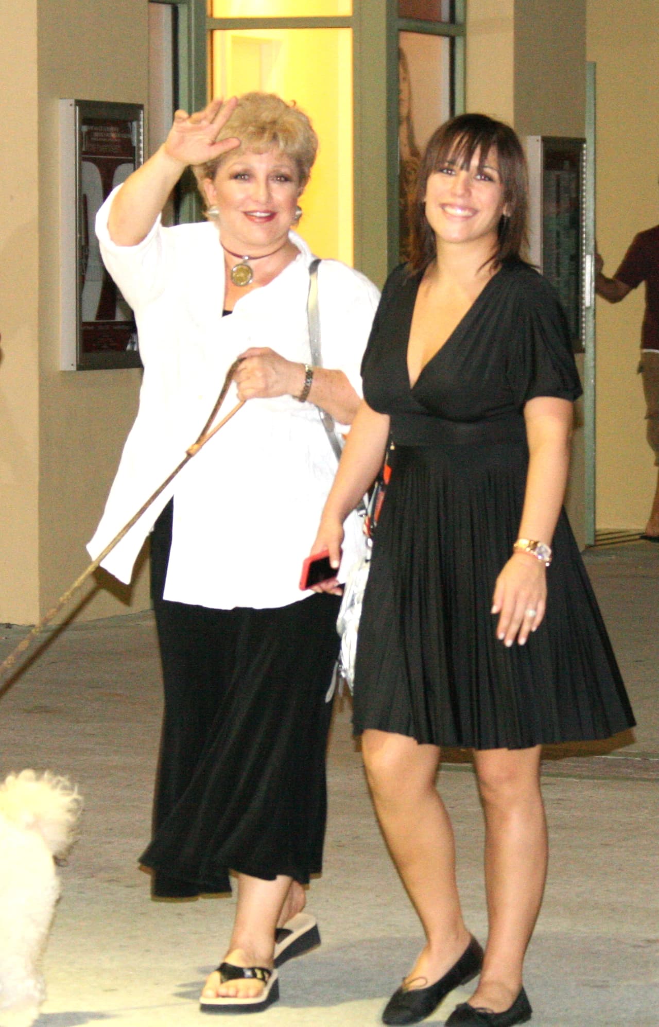 <b><a href="http://www.univision.com/temas/angelica-maria">Angélica María</a></b> es uno de los íconos más grandes de la actuación en México, heredando su talento a su única hija.