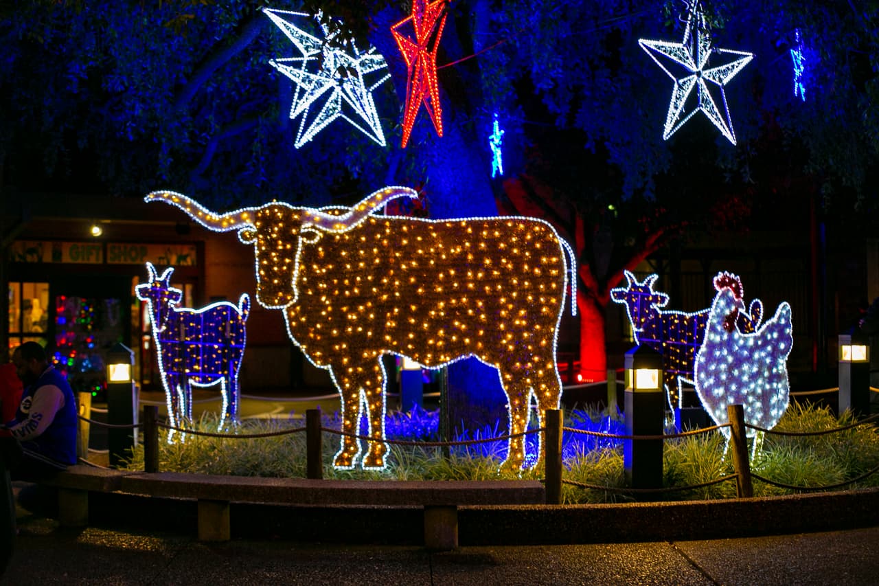 Muchos lugares son perfectos para que la familia pueda tomarse fotografías que quedarán para el recuerdo.