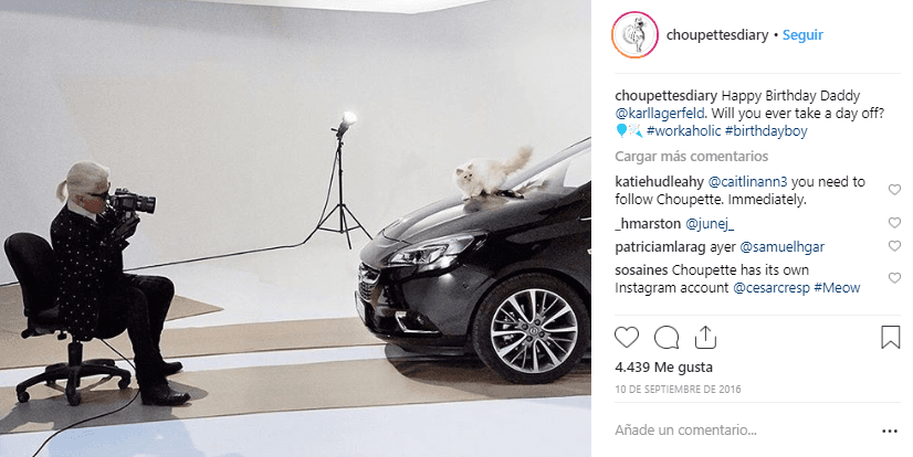 Por iniciativa de Lagerfeld, Choupette fue protagonista de dos campañas de publicidad; una de ellas para la línea de cosméticos Shu Uemura y para un calendario de la marca de autos Opel, cuyas fotos fueron tomadas por el diseñador.
<br>