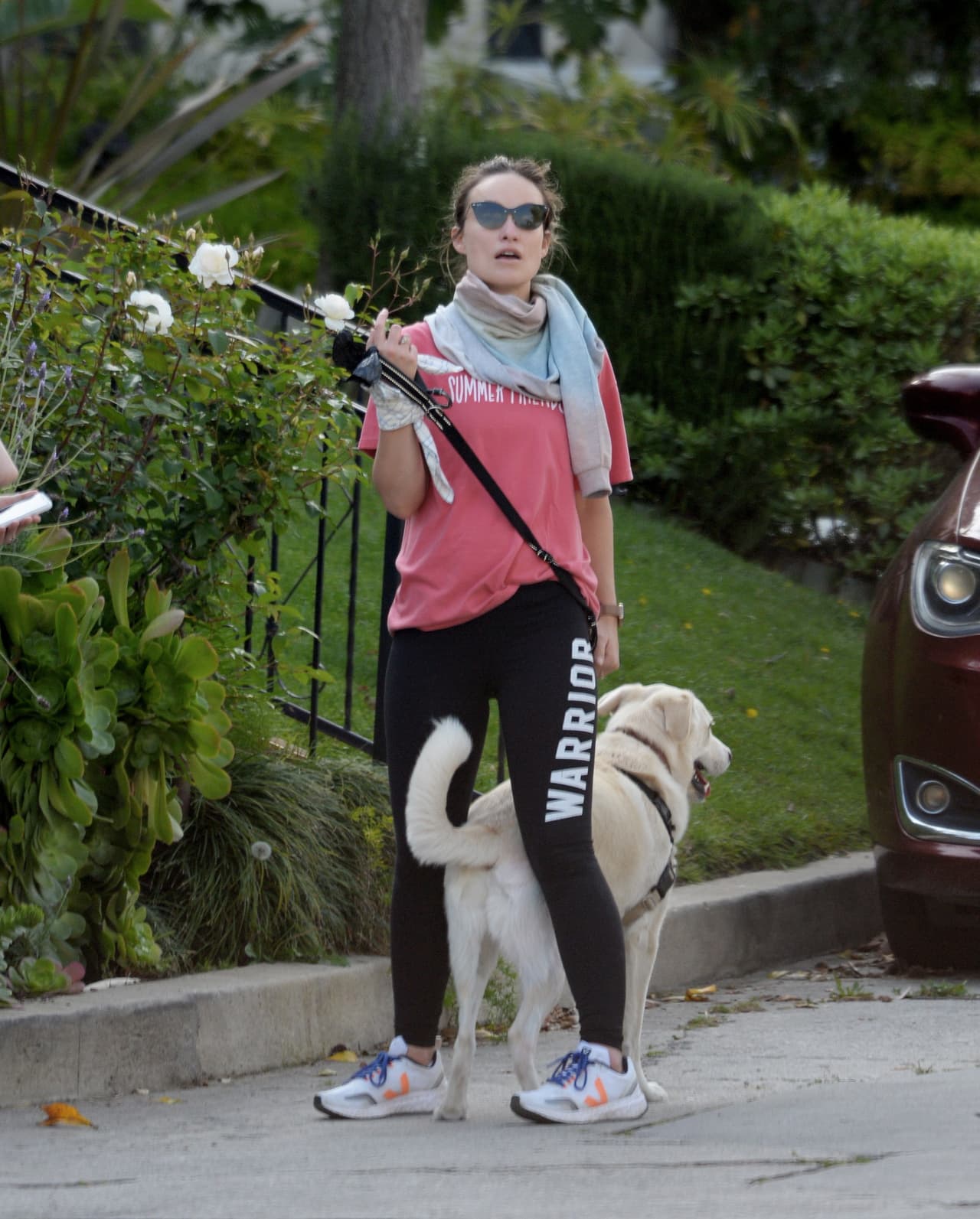 La actriz Olivia Wilde salió a pasear a su perro en Los Ángeles.