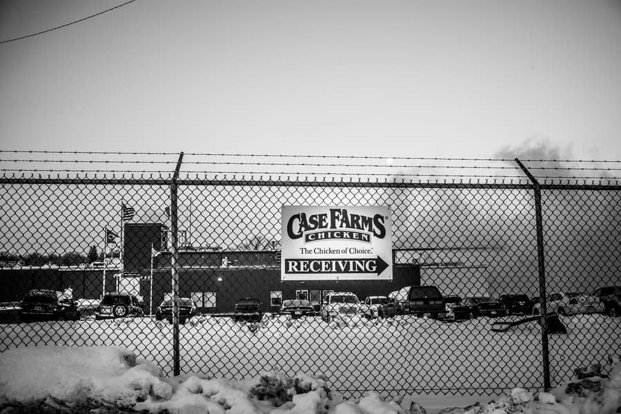 Case Farms tuvo indicios en numerosas ocasiones de que una porción grande de su mano de obra era indocumentada. Al menos tres veces en su historia, trabajadores salieron huyendo de sus fábricas por miedo a redadas de inmigración. Un trabajador dijo que ha trabajado en Case Farms bajo cuatro nombres distintos.