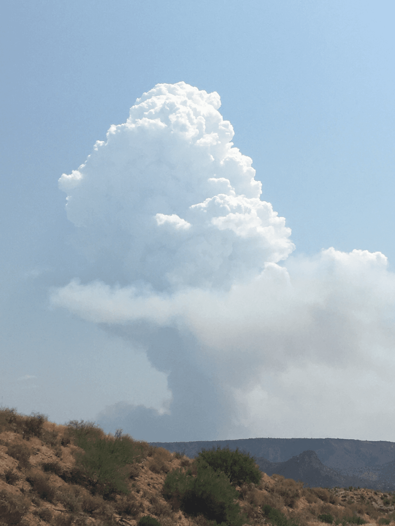 Mientras que el otro incendio llamado Griffin cerca de la reserva San Carlos, de la autopista 60 y San Carlos también sigue propagándose. El incendio Griffin a consumido 27,503 acres de terreno. Este sinestro se encuentra a 1.5 millas al norte del incendio Gin
<br>