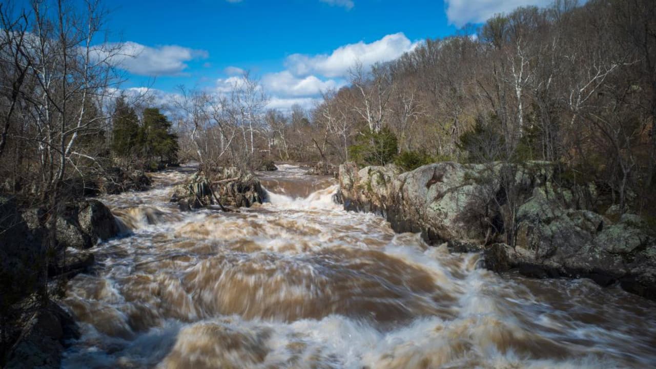 Dos adultos y un niño son rescatados del Río Potomac: autoridades recuerdan los peligros de este cuerpo de agua