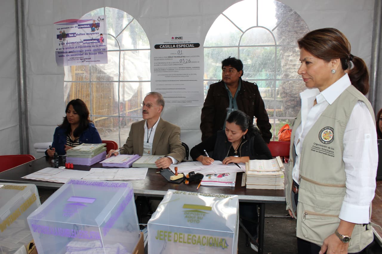 Misión electoral de la OEA en México en 2015