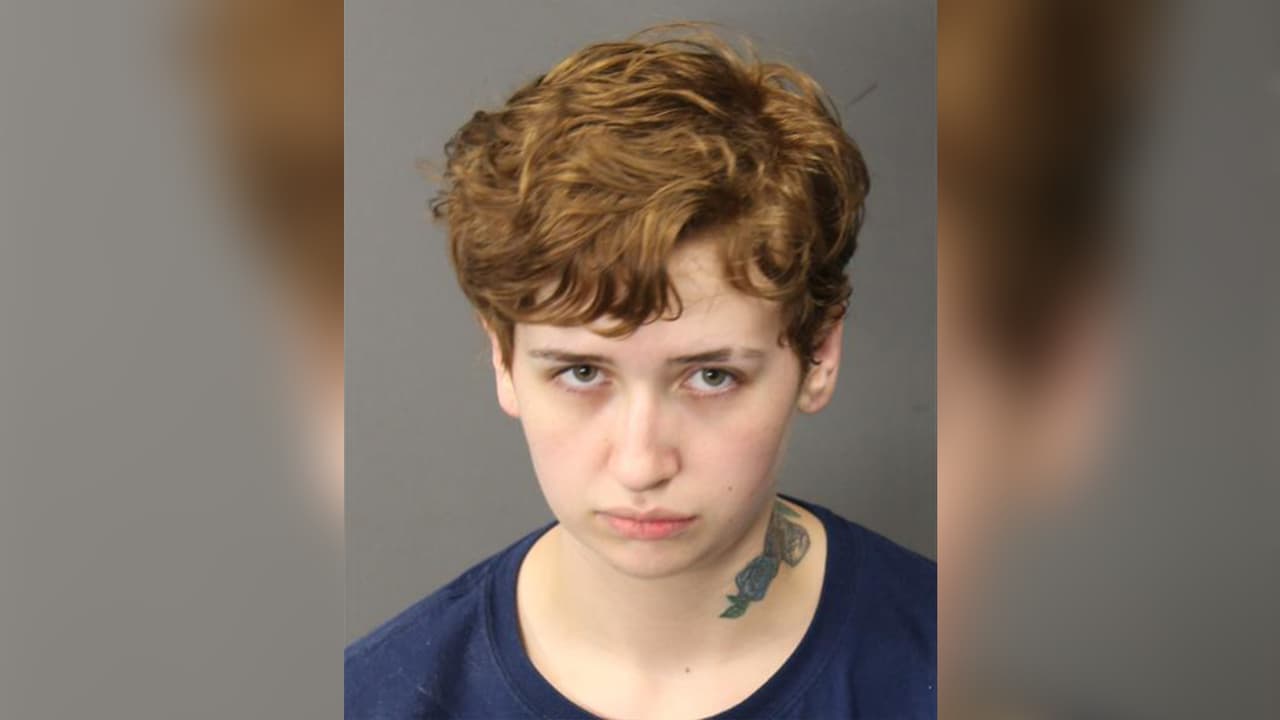 Sara Garrett es sospechosa de robar una patrulla de 
<b><a href="https://www.facebook.com/BaytownPolice" target="_blank">policía de Baytown</a></b> el lunes 5 de julio, alrededor de las 8:30 pm y comenzar una persecusión.